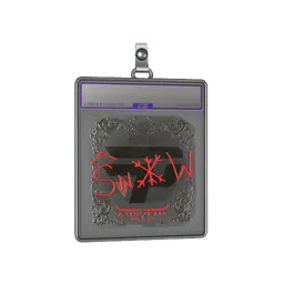 Sticker Slab | snow (Foil) | Austin 2025
