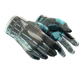 ★ Sport Gloves | Superconductor