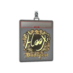 Sticker Slab | HooXi (Gold) | Budapest 2025