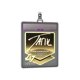 Sticker Slab | tarik (Gold) | Cluj-Napoca 2015