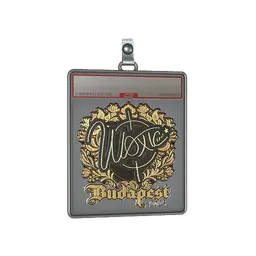 Sticker Slab | woxic (Gold) | Budapest 2025