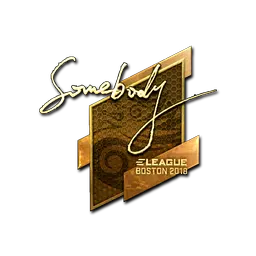 Sticker | somebody (Gold) | Boston 2018