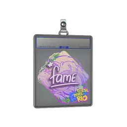 Sticker Slab | fame | Rio 2022
