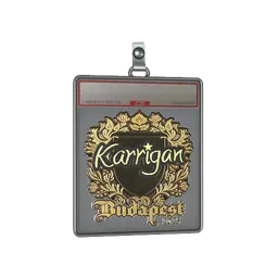 Sticker Slab | karrigan (Gold) | Budapest 2025