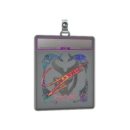 Sticker Slab | Graviti (Holo) | Austin 2025