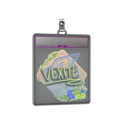 Sticker Slab | vexite (Holo) | Rio 2022