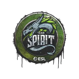 Sealed Graffiti | Team Spirit | Katowice 2019