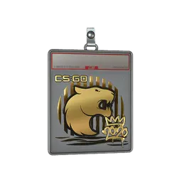 Sticker Slab | FURIA (Gold) | 2020 RMR