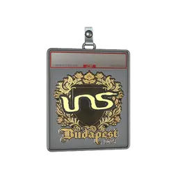 Sticker Slab | INS (Gold) | Budapest 2025