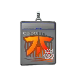 Sticker Slab | Fnatic | 2020 RMR