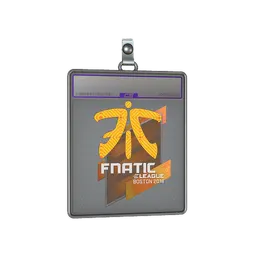Sticker Slab | Fnatic (Holo) | Boston 2018