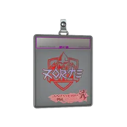 Sticker Slab | zorte (Holo) | Antwerp 2022