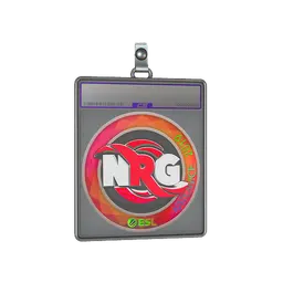 Sticker Slab | NRG (Holo) | Katowice 2019