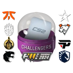 Shanghai 2024 Challengers Sticker Capsule
