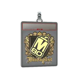 Sticker Slab | M80 (Gold) | Budapest 2025
