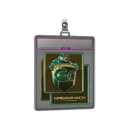 Sticker Slab | ESC Gaming (Gold) | DreamHack 2014