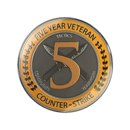 5 Year Veteran Coin