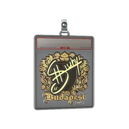 Sticker Slab | siuhy (Gold) | Budapest 2025