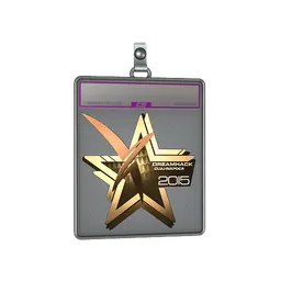 Sticker Slab | Vexed Gaming (Gold) | Cluj-Napoca 2015