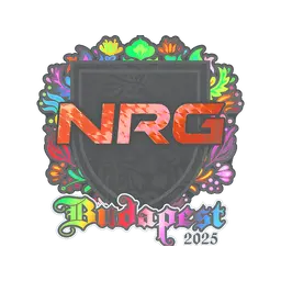 Sticker | NRG (Holo) | Budapest 2025