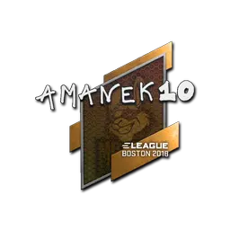 Sticker | AmaNEk | Boston 2018
