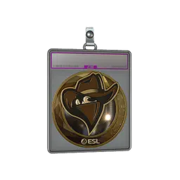 Sticker Slab | Renegades (Gold) | Katowice 2019
