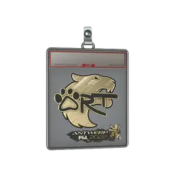 Sticker Slab | arT (Gold) | Antwerp 2022
