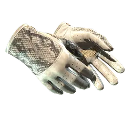 ★ Driver Gloves | King Snake