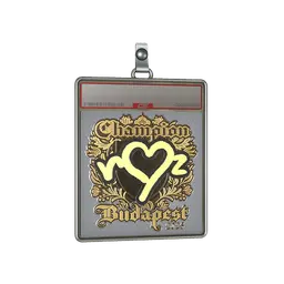 Sticker Slab | ropz (Gold, Champion) | Budapest 2025