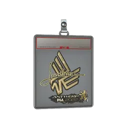 Sticker Slab | juanflatroo (Gold) | Antwerp 2022
