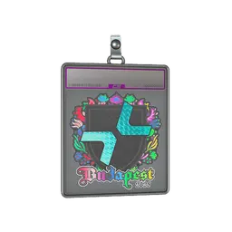 Sticker Slab | PARIVISION (Holo) | Budapest 2025