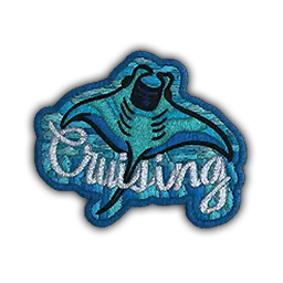 Patch | Cruising Ray