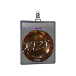 Sticker Slab | Xizt (Foil) | Katowice 2019