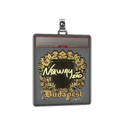 Sticker Slab | noway (Gold) | Budapest 2025