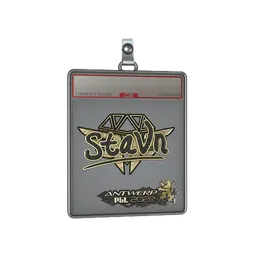 Sticker Slab | stavn (Gold) | Antwerp 2022