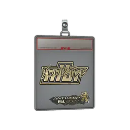 Sticker Slab | Tuurtle (Gold) | Antwerp 2022