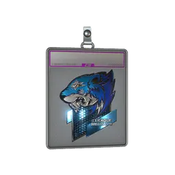 Sticker Slab | Flash Gaming (Foil) | Boston 2018