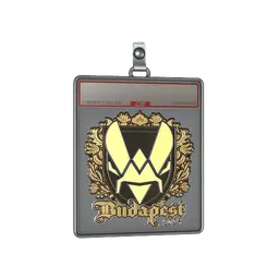 Sticker Slab | Vitality (Gold) | Budapest 2025