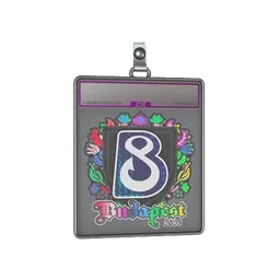 Sticker Slab | B8 (Holo) | Budapest 2025