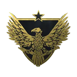 Brigadier General Pin