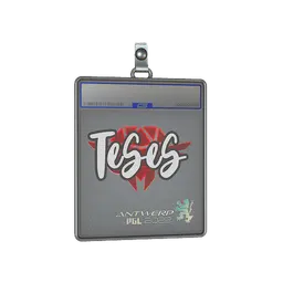 Sticker Slab | TeSeS | Antwerp 2022