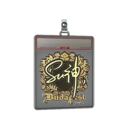 Sticker Slab | C4LLM3SU3 (Gold) | Budapest 2025