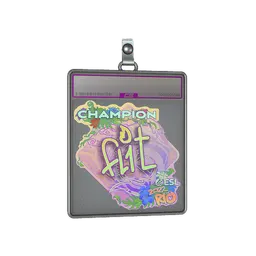 Sticker Slab | FL1T (Holo, Champion) | Rio 2022