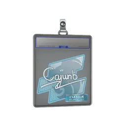 Sticker Slab | cajunb | Atlanta 2017