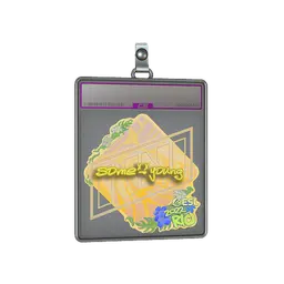 Sticker Slab | sdy (Holo) | Rio 2022