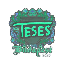 Sticker | TeSeS | Budapest 2025