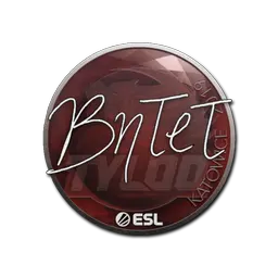 Sticker | BnTeT | Katowice 2019