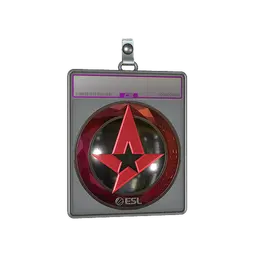 Sticker Slab | Astralis (Foil) | Katowice 2019