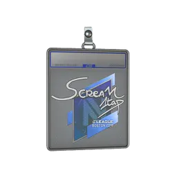 Sticker Slab | ScreaM | Boston 2018