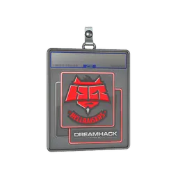 Sticker Slab | HellRaisers | DreamHack 2014